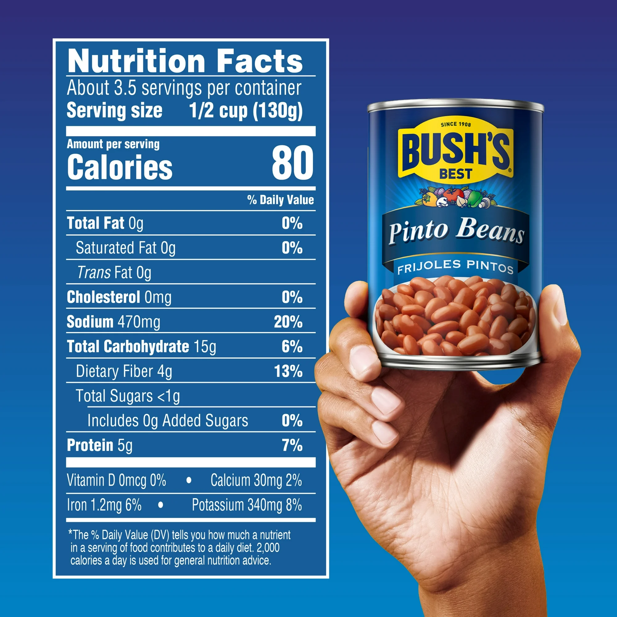 Bush's Canned Pinto Beans Canned Beans 16 oz Can