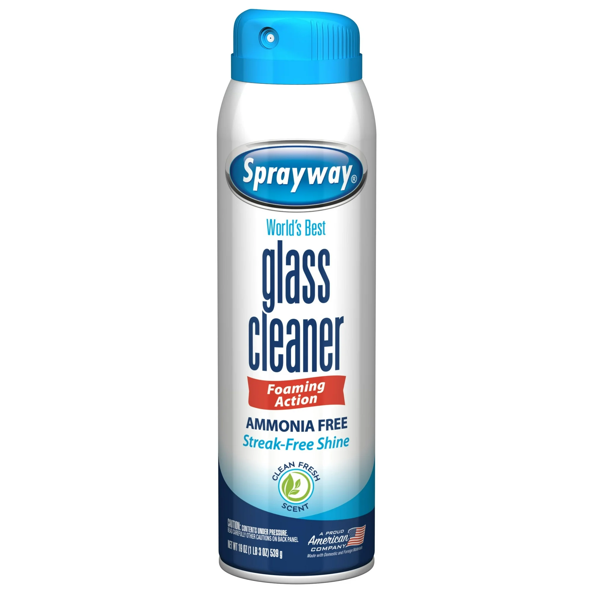 Sprayway Glass Cleaner 19 fl oz