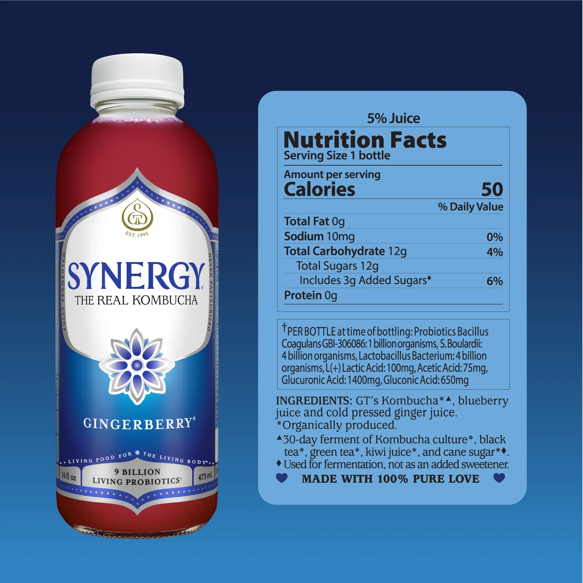 Synergy The Real Kombucha Gingerberry 16 fl oz