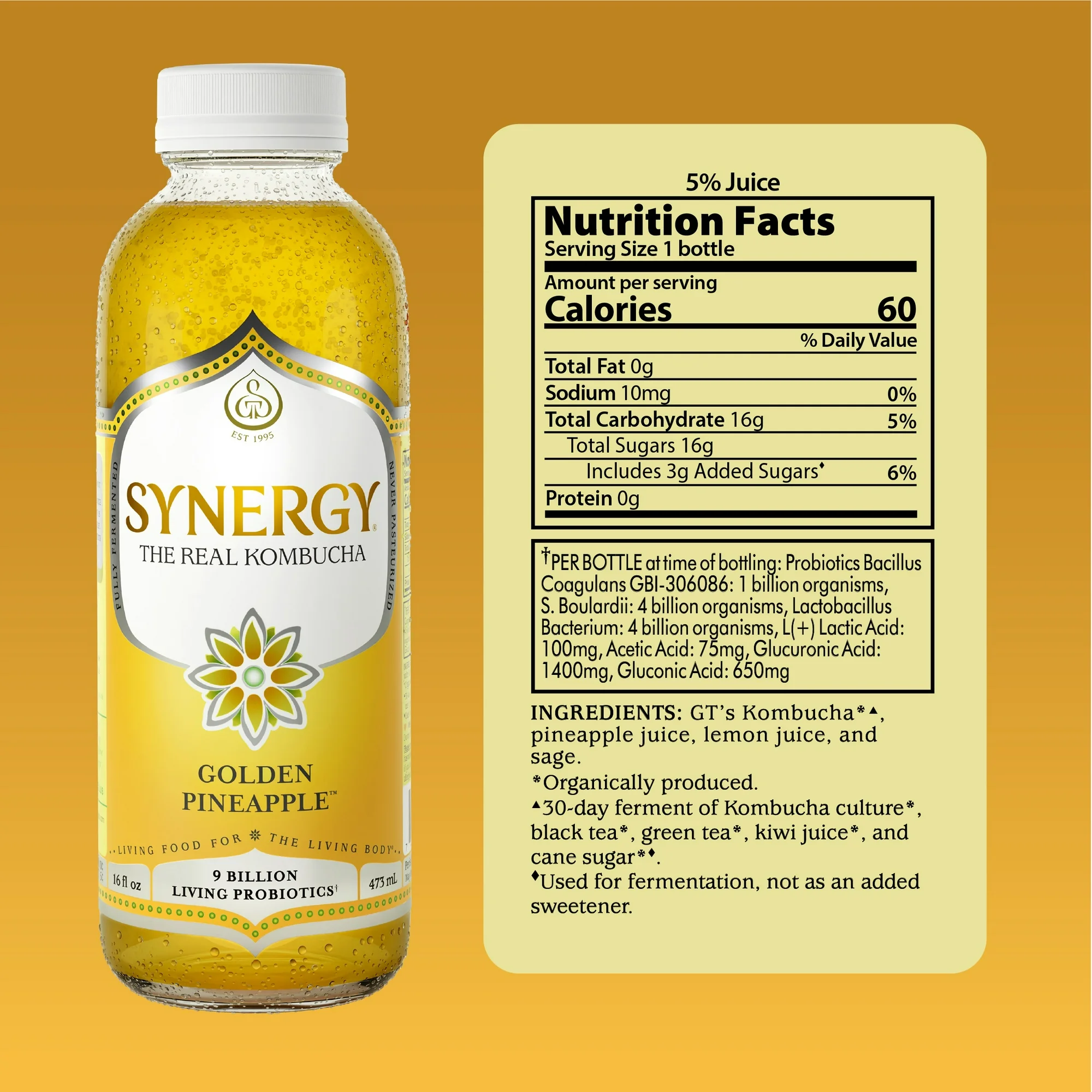 Synergy The Real Kombucha Golden Pineapple 16 fl oz